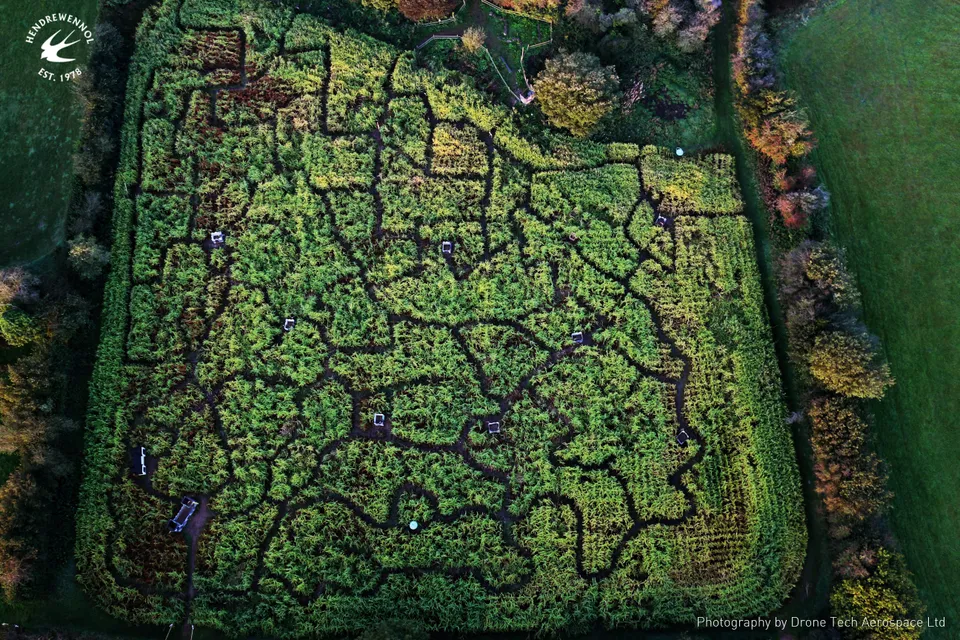 Aerial photograph of a large hedge maze laid out in a field at Hendrewennol.