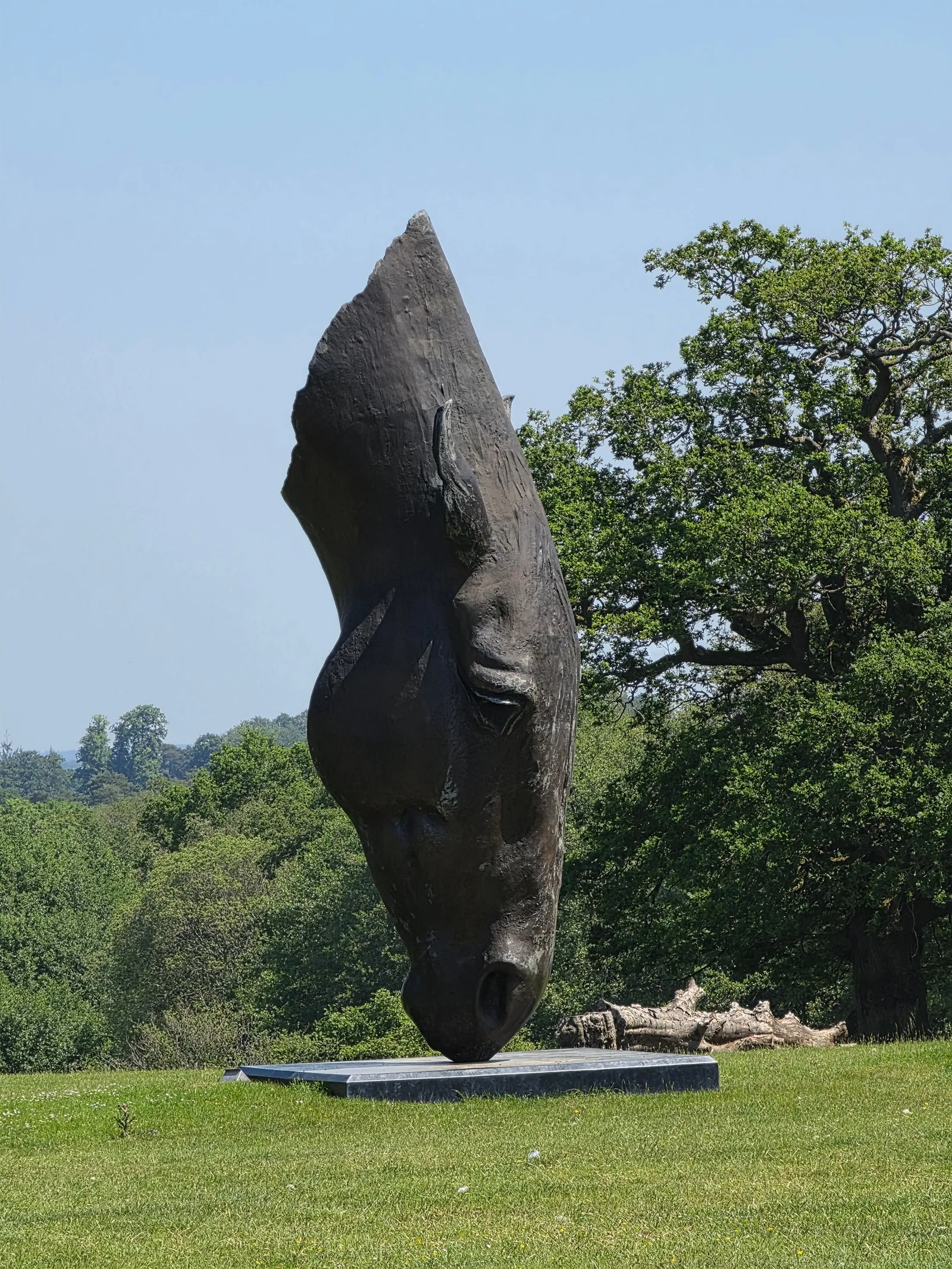 Large bronze sculpture of a horse's head resting on its nose on a lawn, with a mature oak tree behind.