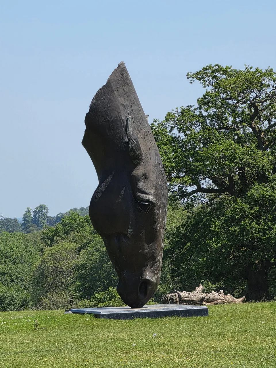Large bronze sculpture of a horse's head resting on its nose on a lawn, with a mature oak tree behind.