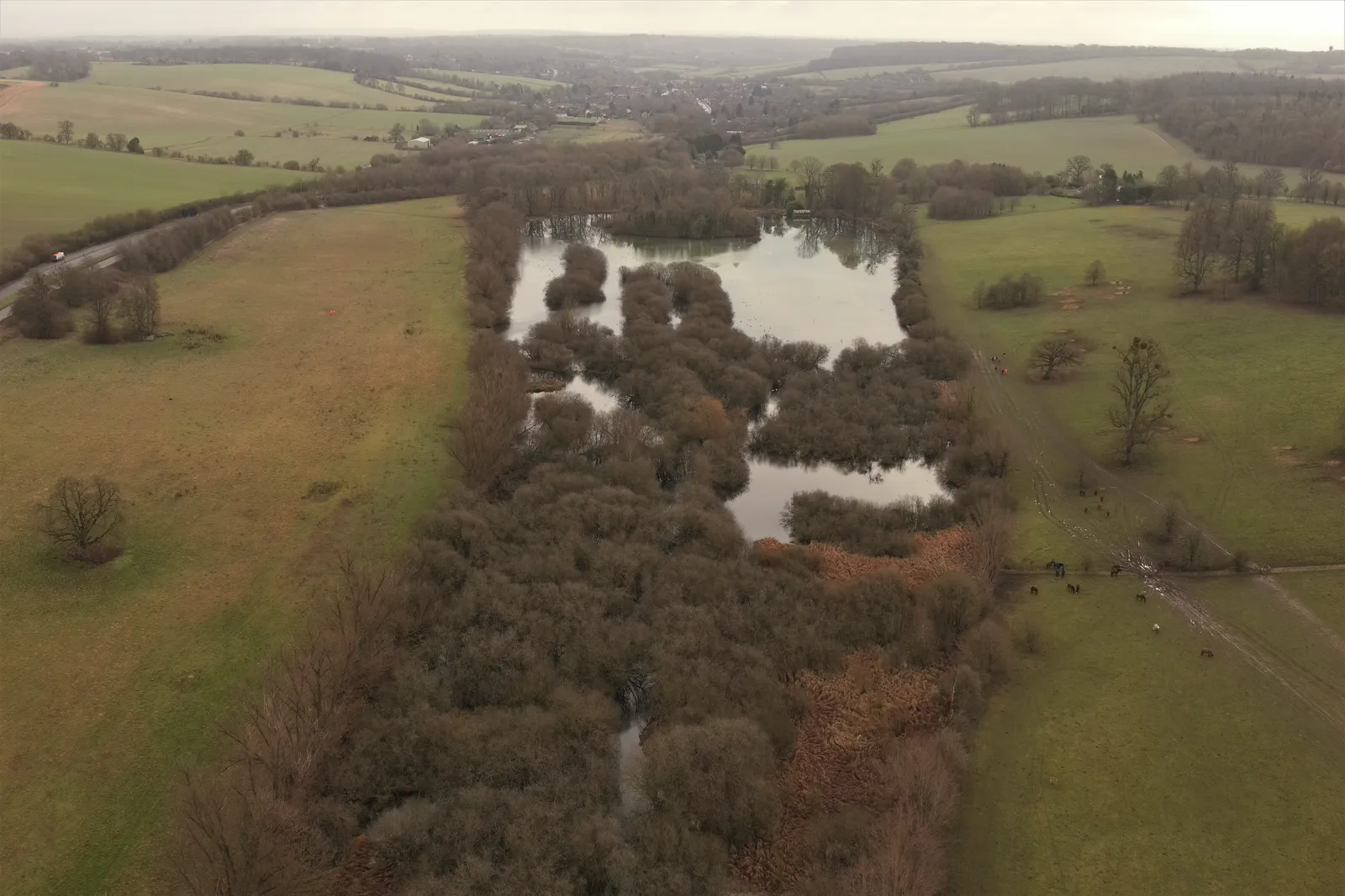 Aerial photograph of a lake surrounded by parkland and mature trees.