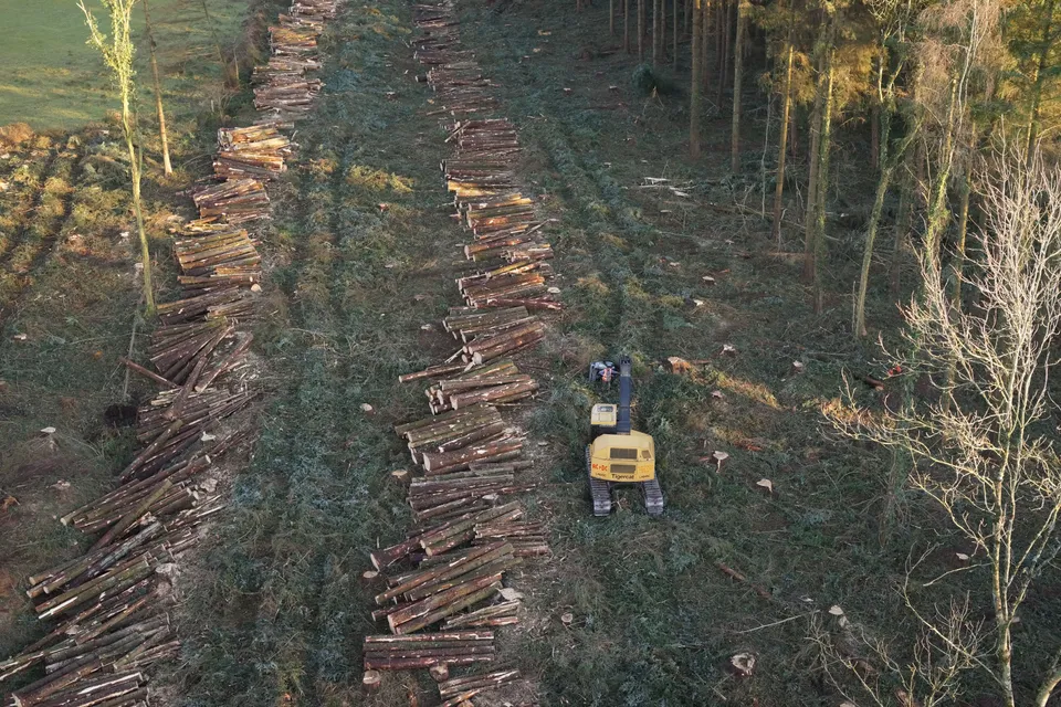 Aerial photograph of open rural land and field boundaries at Tredean.