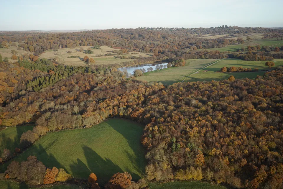Aerial drone photograph of the Eridge Park estate landscape during the 600 hectare survey